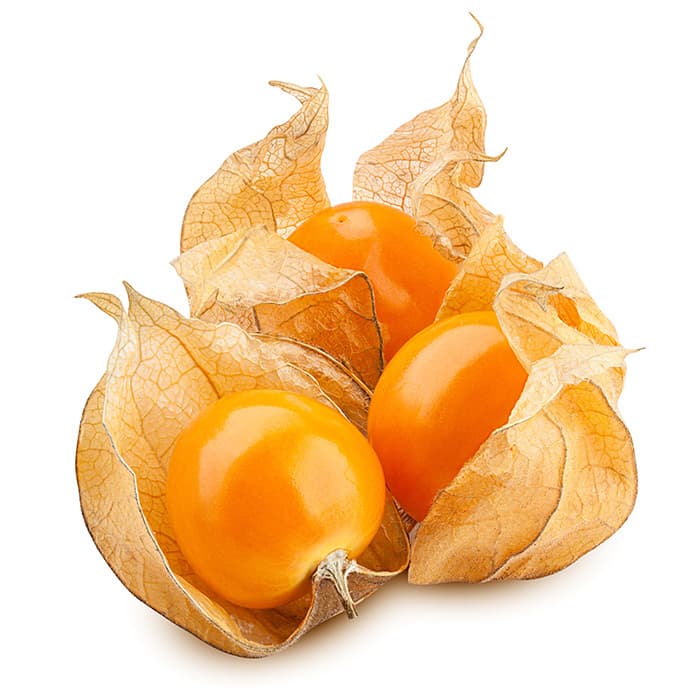 ZIELENIAK Physalis (Miechunka). 79,90 zl/kg