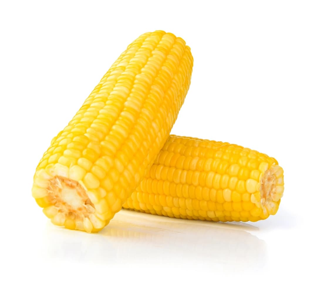 ZIELENIAK Kukurydza gotowana 2 szt.. 22,20 zl/kg