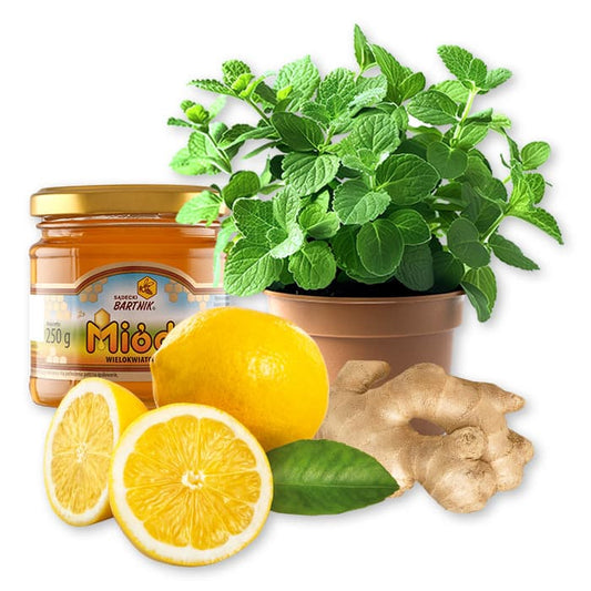 MULTIPAK Napar z miety i cytryny.