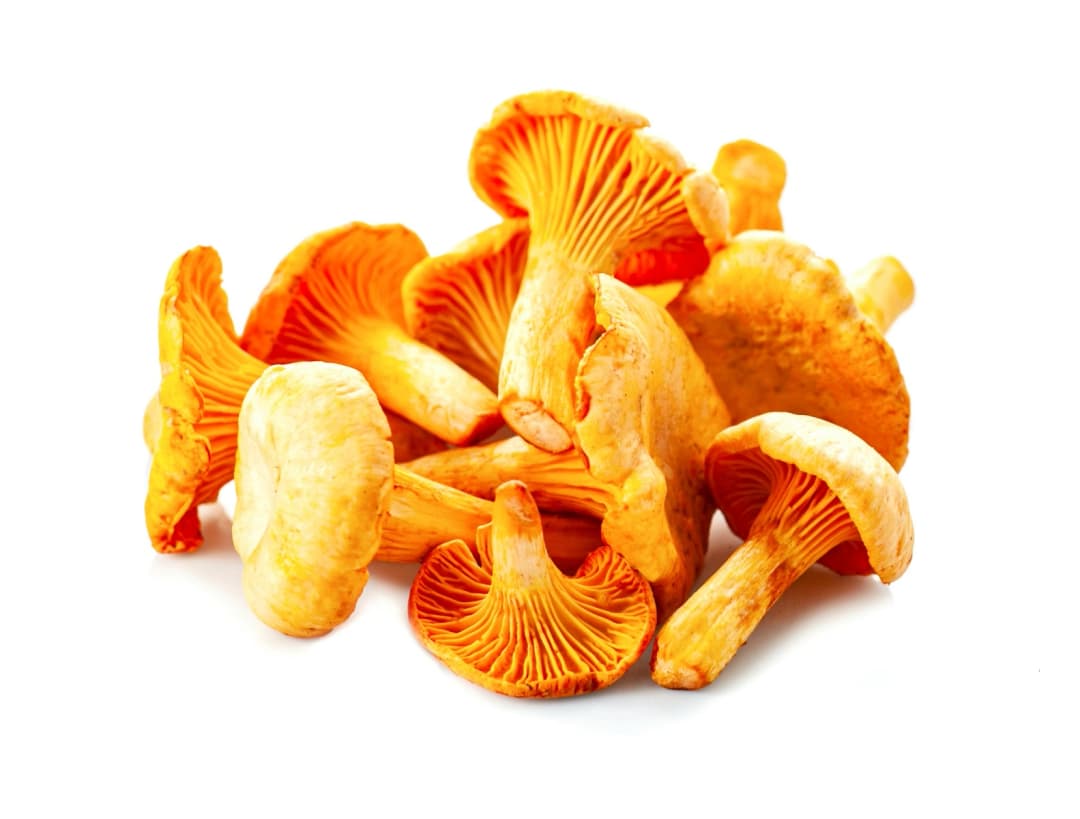 ZIELENIAK Kurki swieze 250g. 91,96 zl/kg