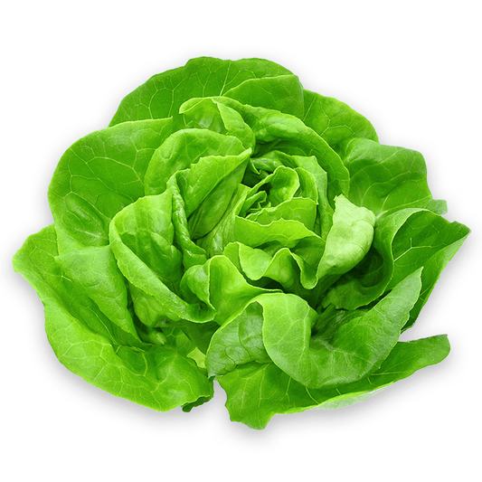 ZIELENIAK Salata maslowa 1 szt.. 24,94 zl/kg